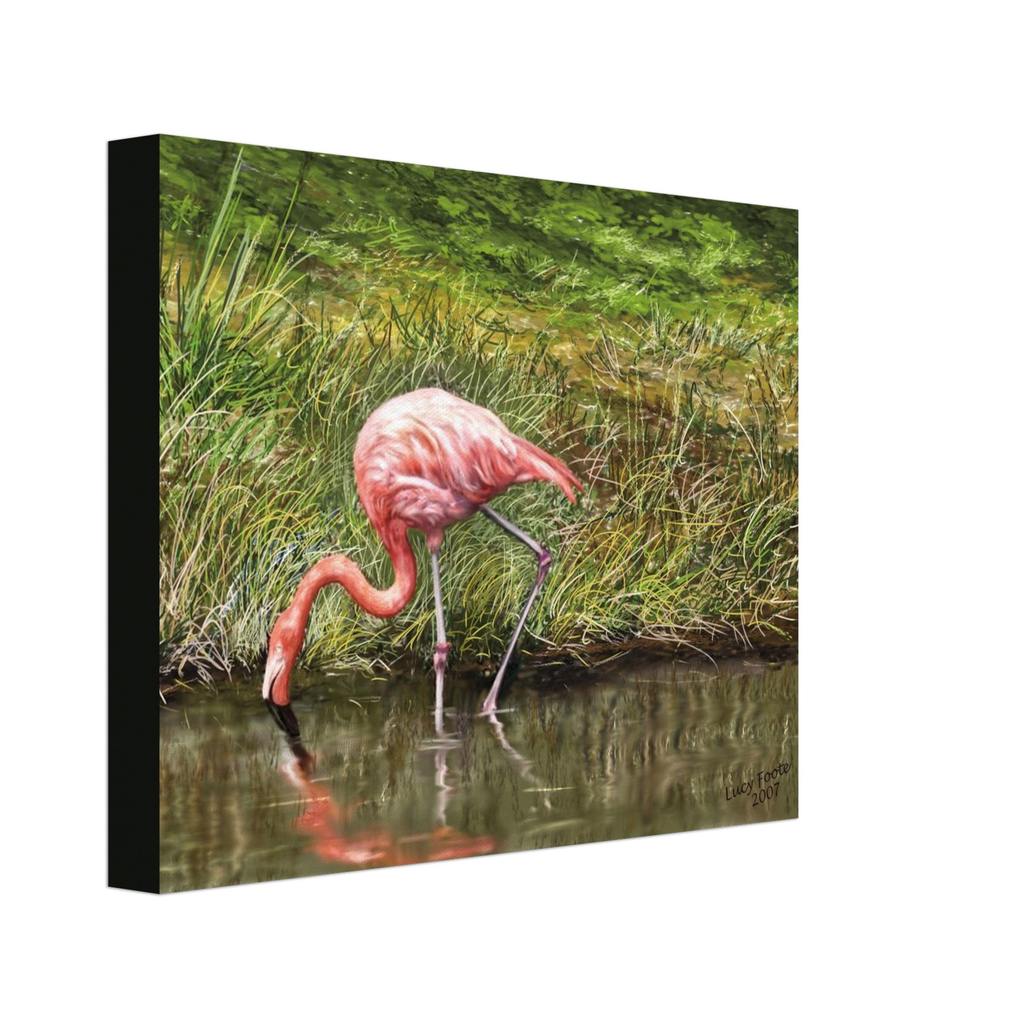 Flamingo Digital Painting by Lucy Foote printed on stretched canvas