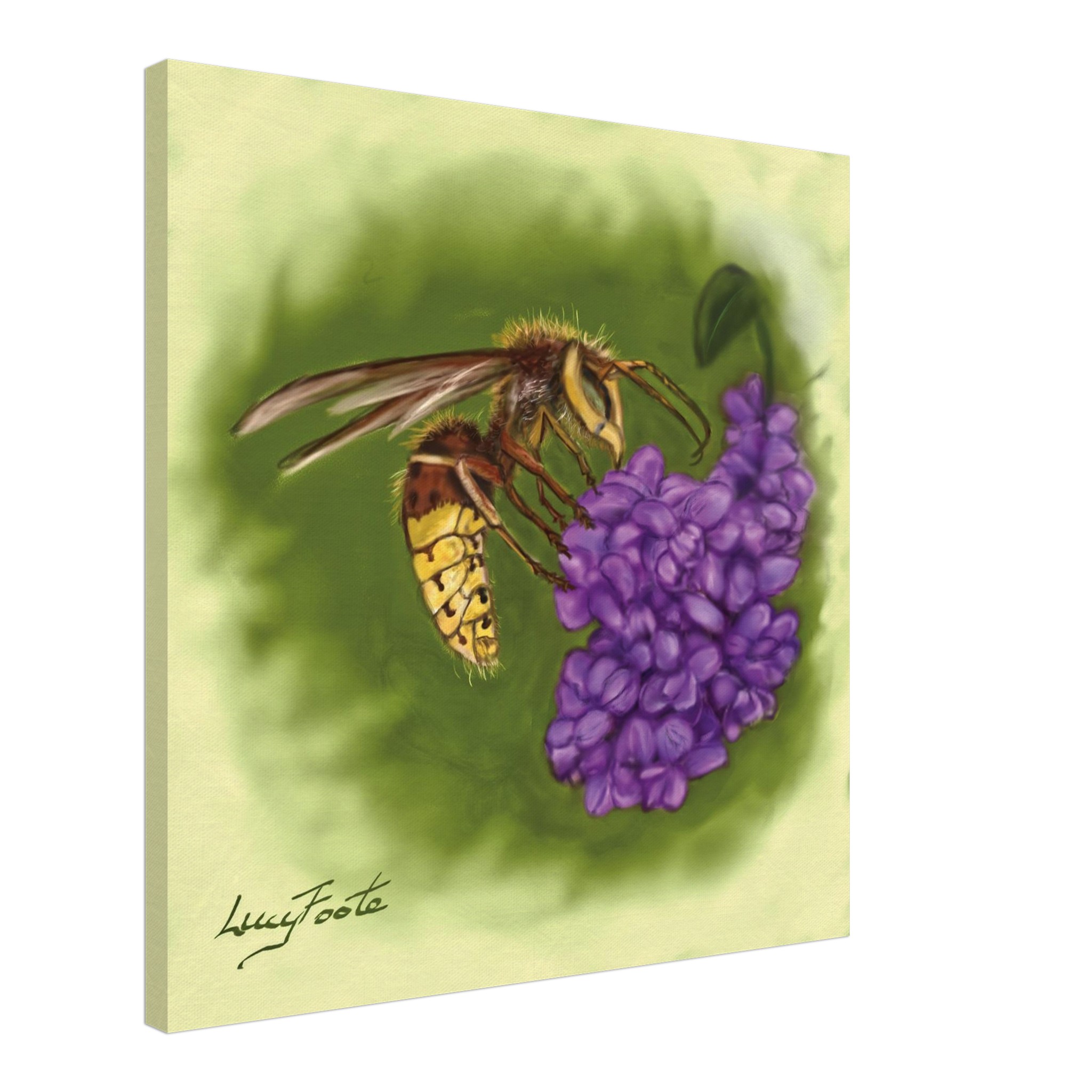 Hornet Digital Painting by Lucy Foote printed on stretched canvas