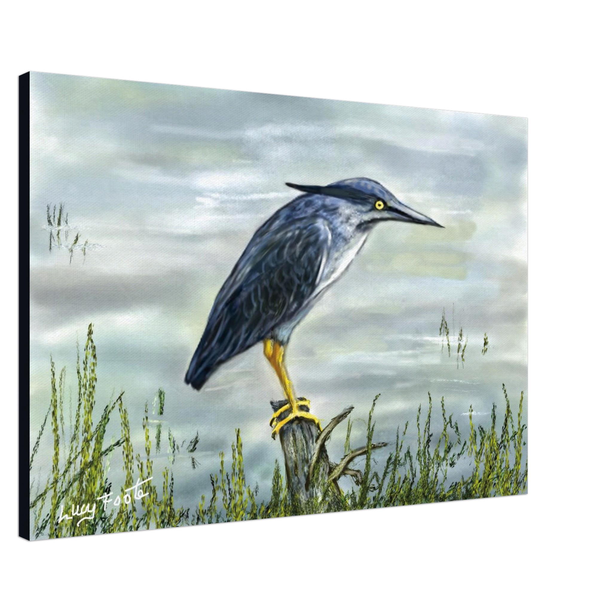 Blue Heron Digital Painting by Lucy Foote printed on stretched canvas