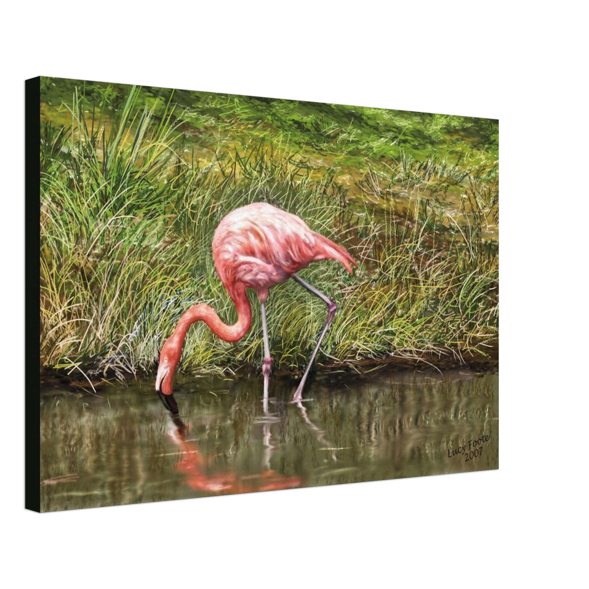 Flamingo Digital Painting by Lucy Foote printed on stretched canvas