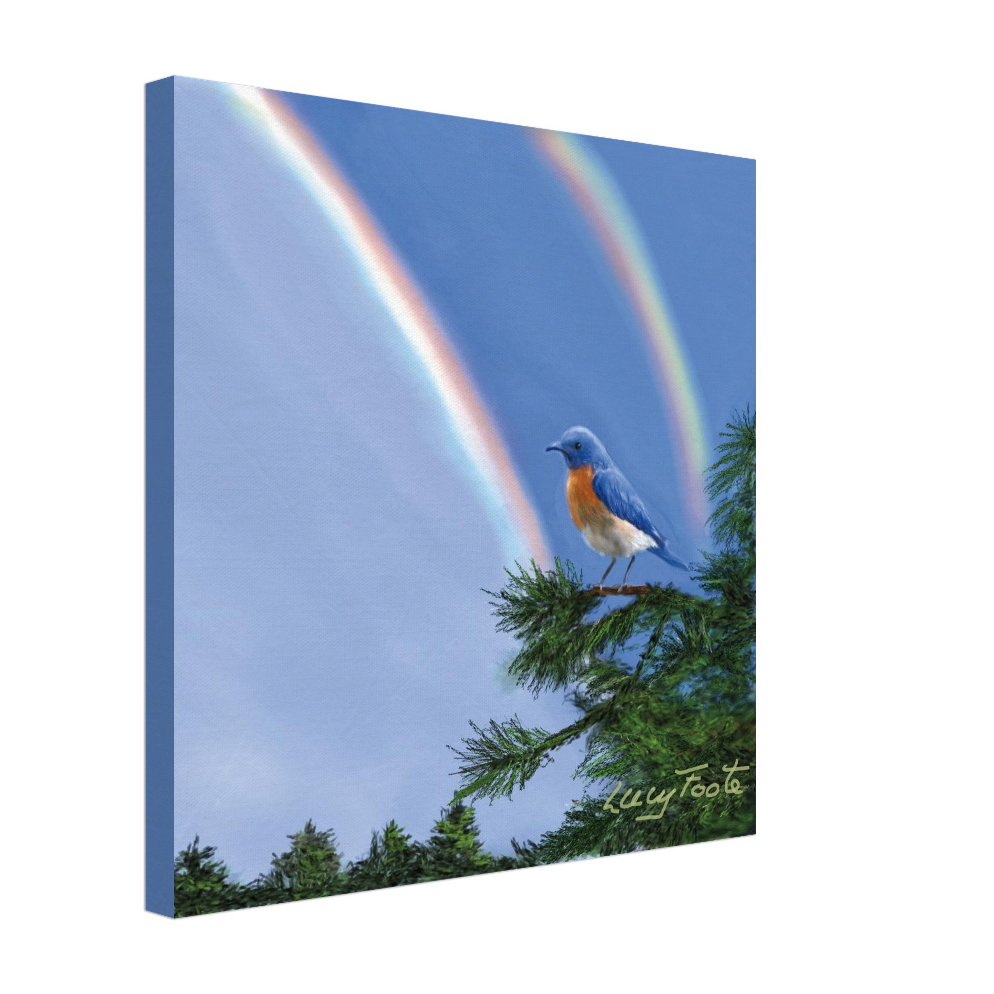 Double Rainbow Digital Painting by Lucy Foote printed on stretched canvas