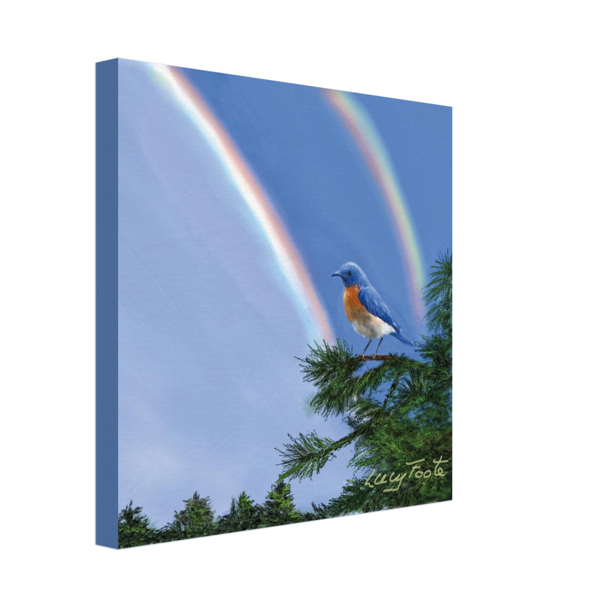 Double Rainbow Digital Painting by Lucy Foote printed on stretched canvas