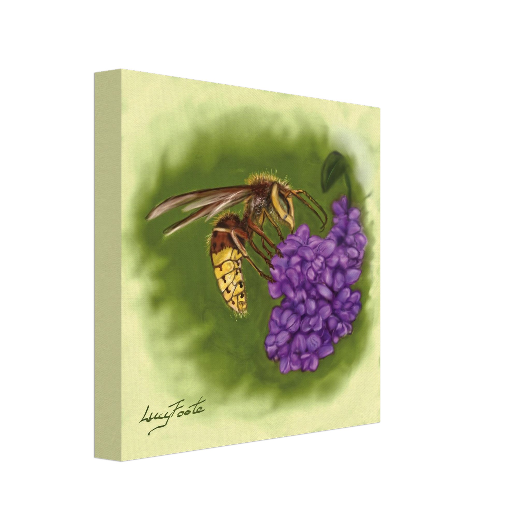 Hornet Digital Painting by Lucy Foote printed on stretched canvas