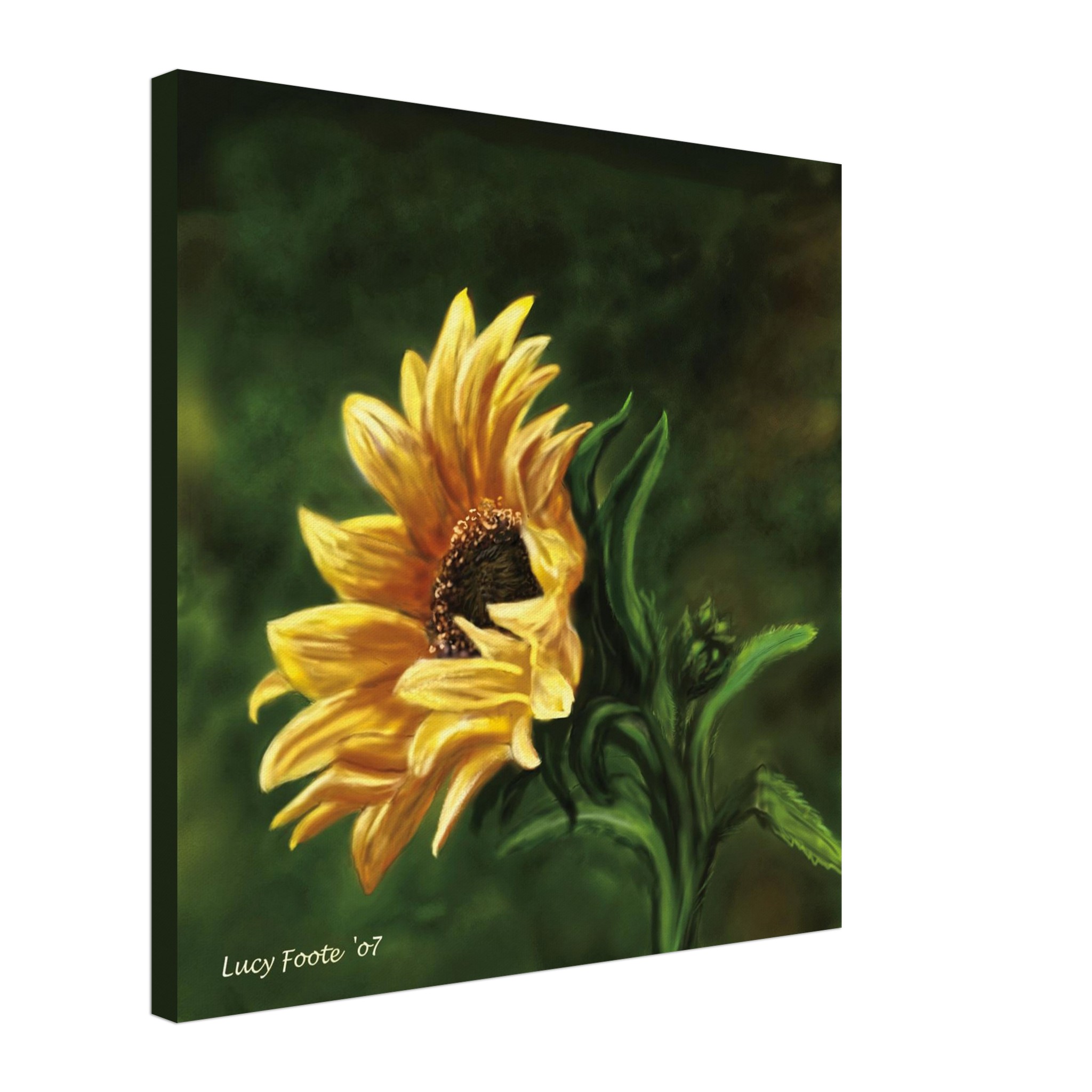 Sunflower Digital Painting by Lucy Foote printed on stretched canvas