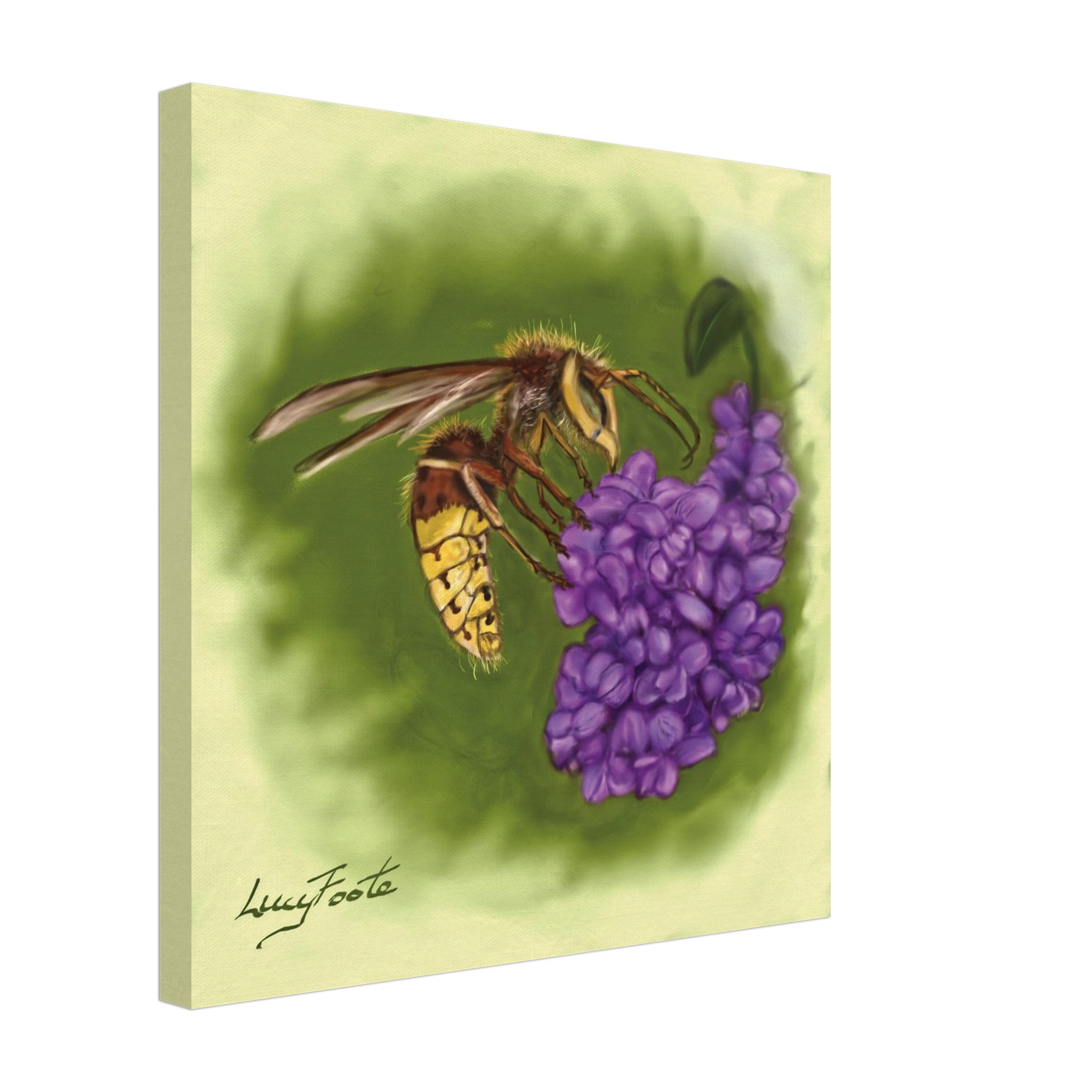 Hornet Digital Painting by Lucy Foote printed on stretched canvas