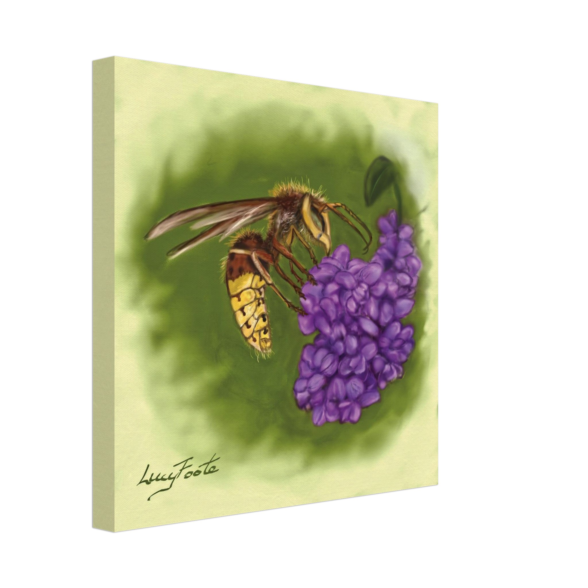 Hornet Digital Painting by Lucy Foote printed on stretched canvas