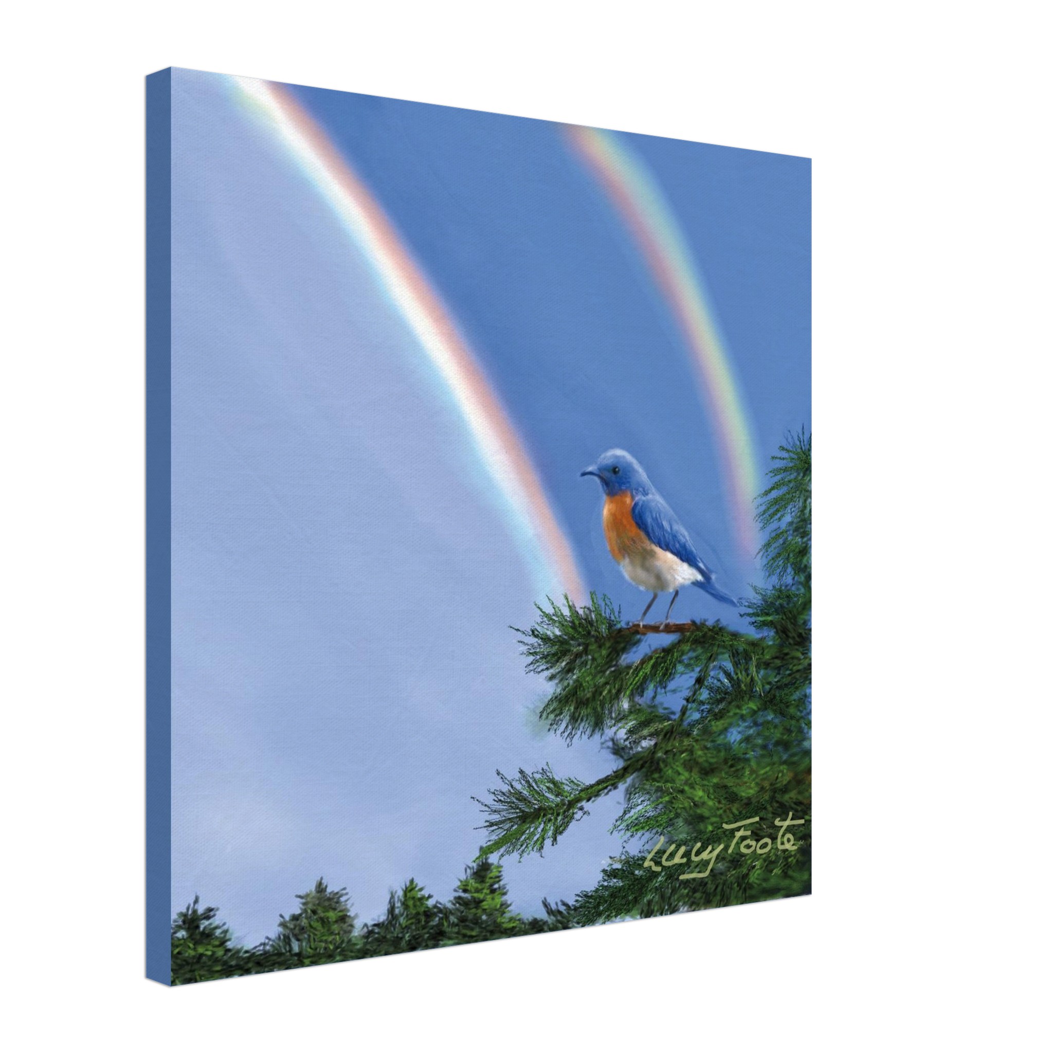 Double Rainbow Digital Painting by Lucy Foote printed on stretched canvas