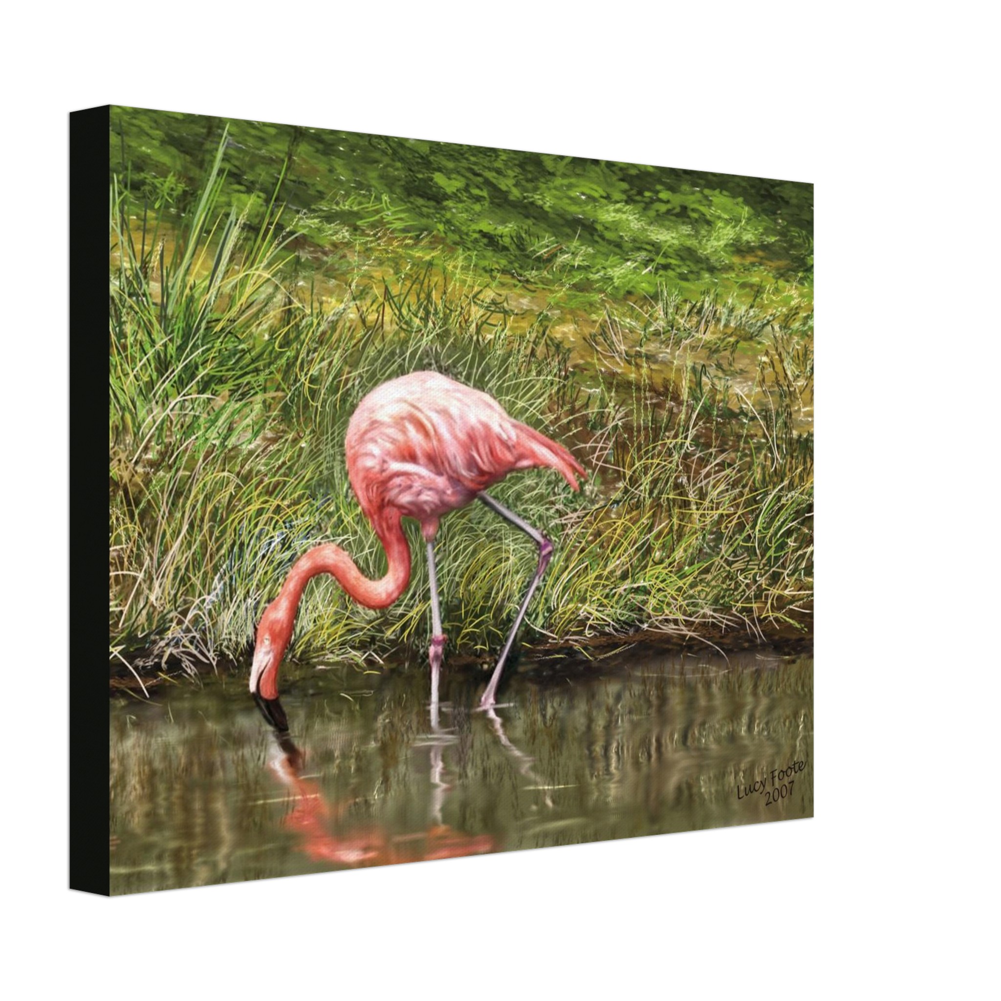 Flamingo Digital Painting by Lucy Foote printed on stretched canvas