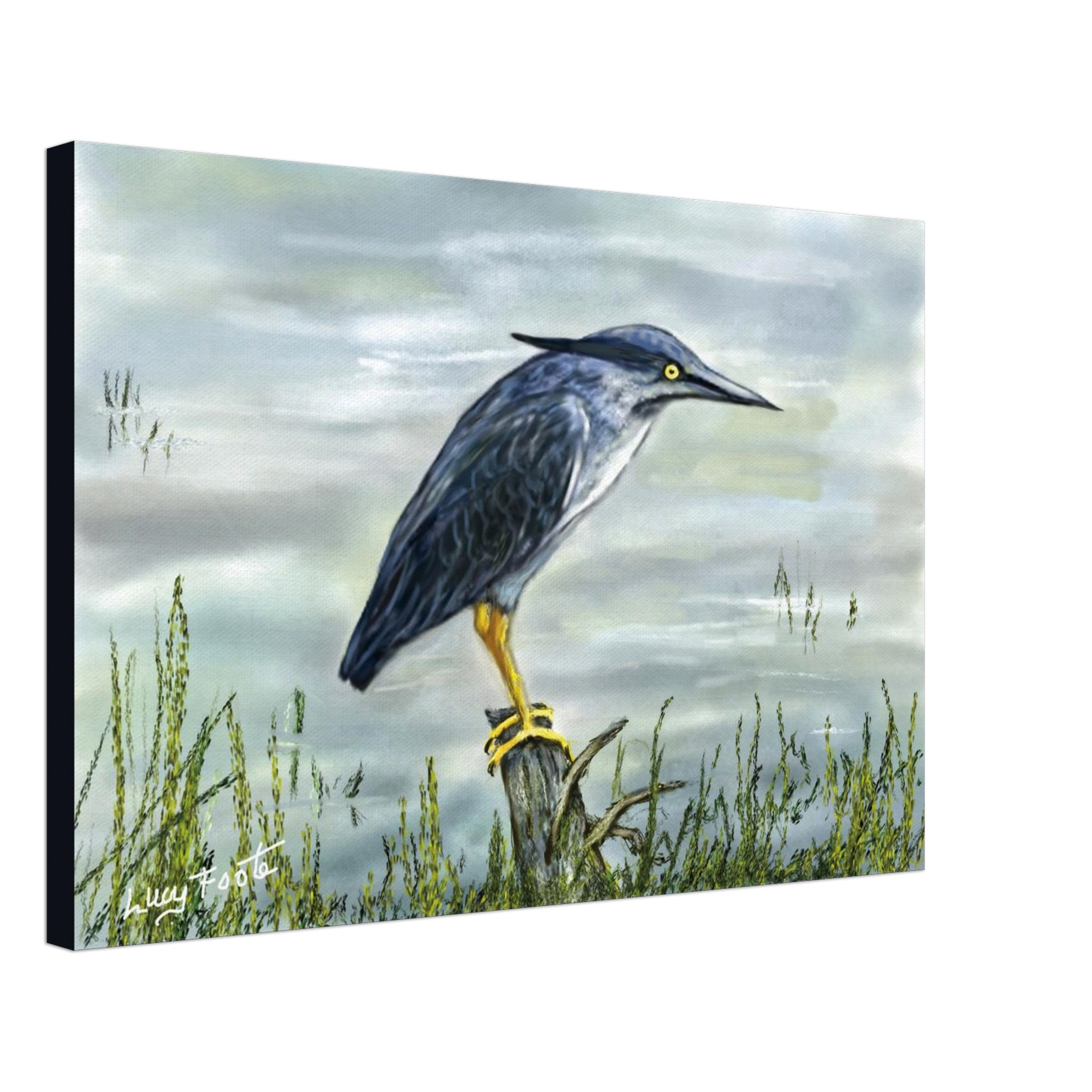 Blue Heron Digital Painting by Lucy Foote printed on stretched canvas