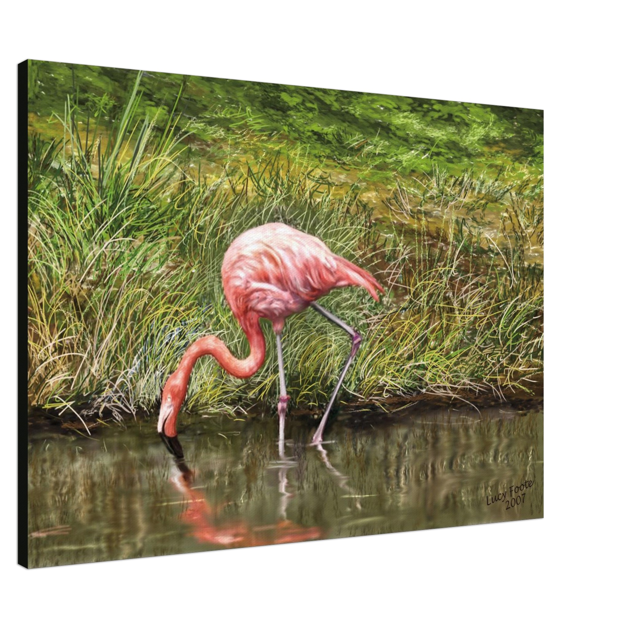 Flamingo Digital Painting by Lucy Foote printed on stretched canvas