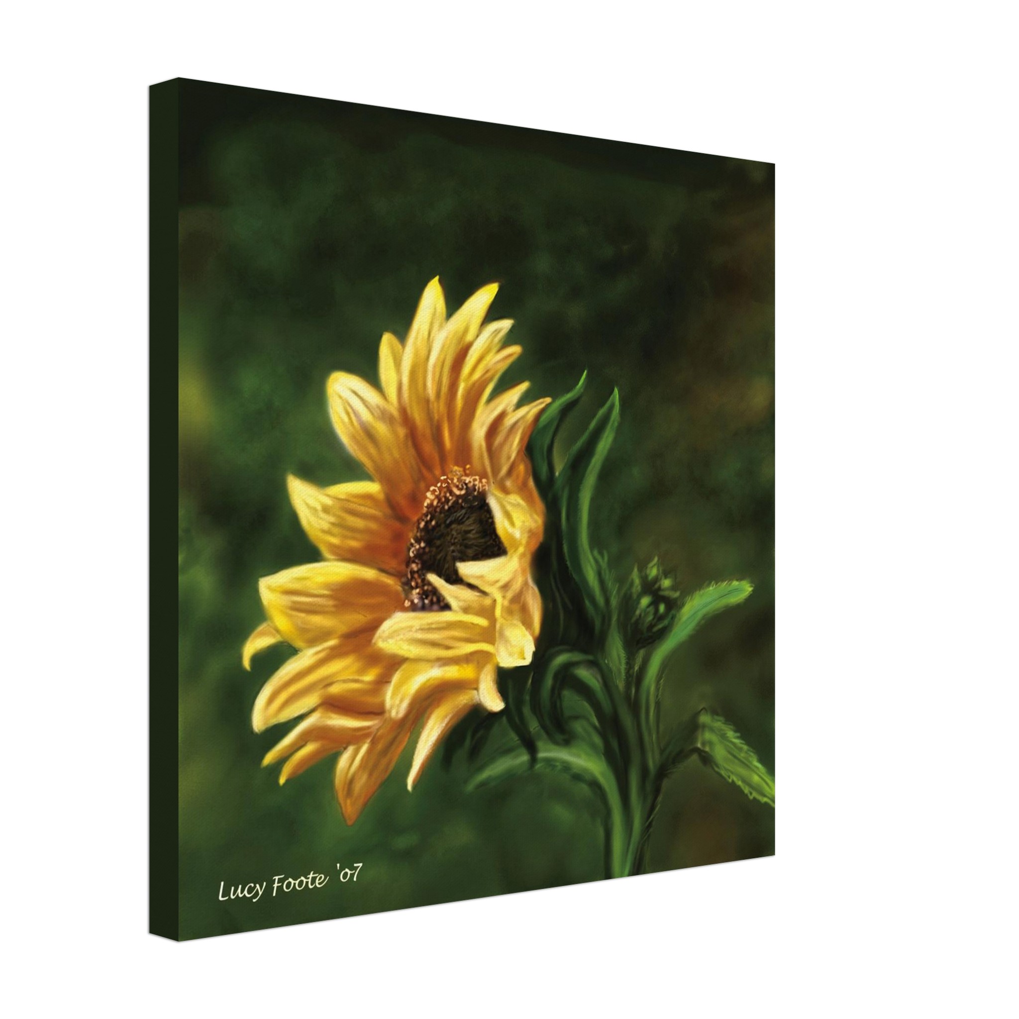 Sunflower Digital Painting by Lucy Foote printed on stretched canvas